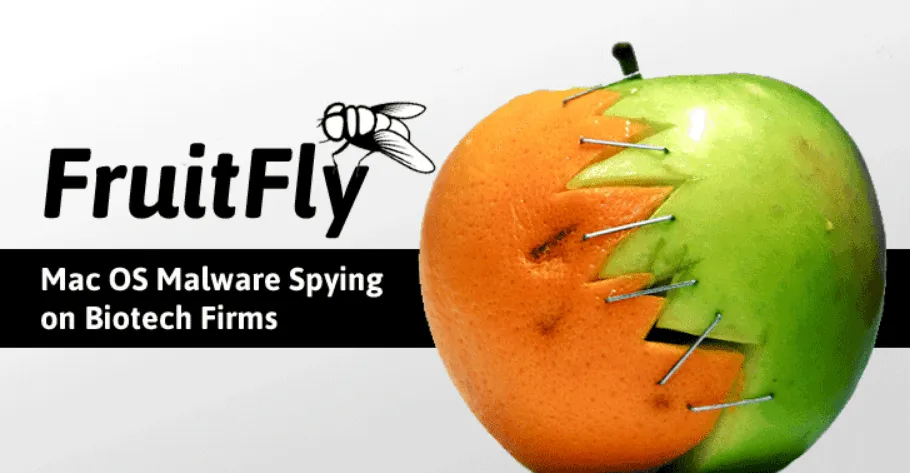 FruitFly Rat