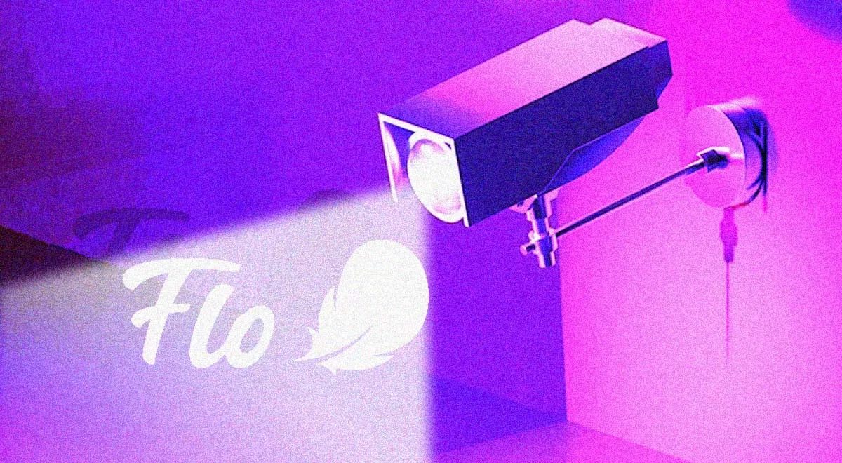 Meta Privacy Flo Lawsuit